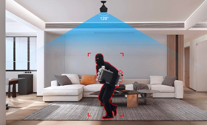 VivoCam image